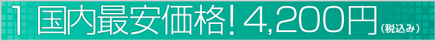 国内最安価格!4,200円(税込み)